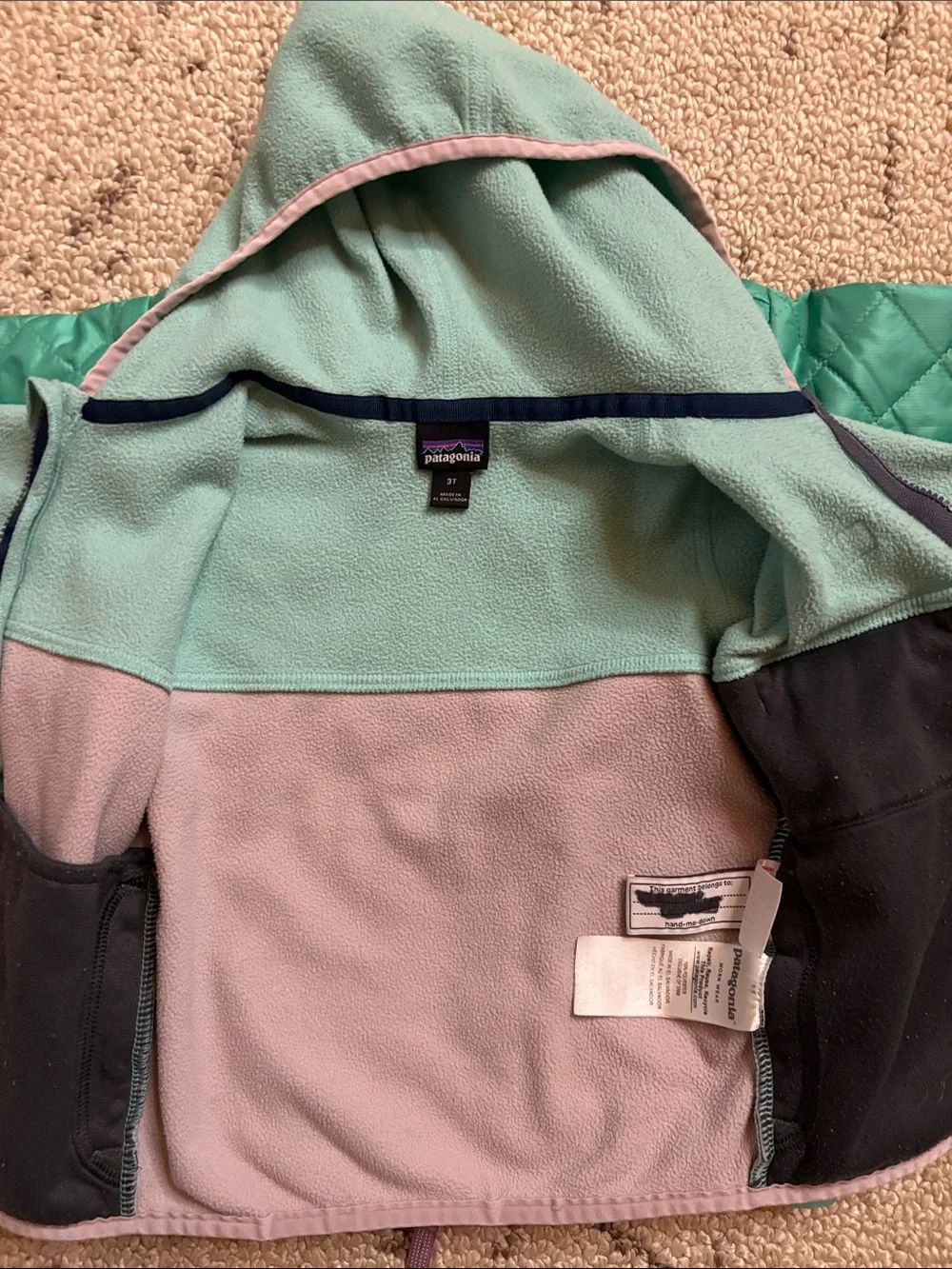 Patagonia fleece jacket and puffer (3T) EUC